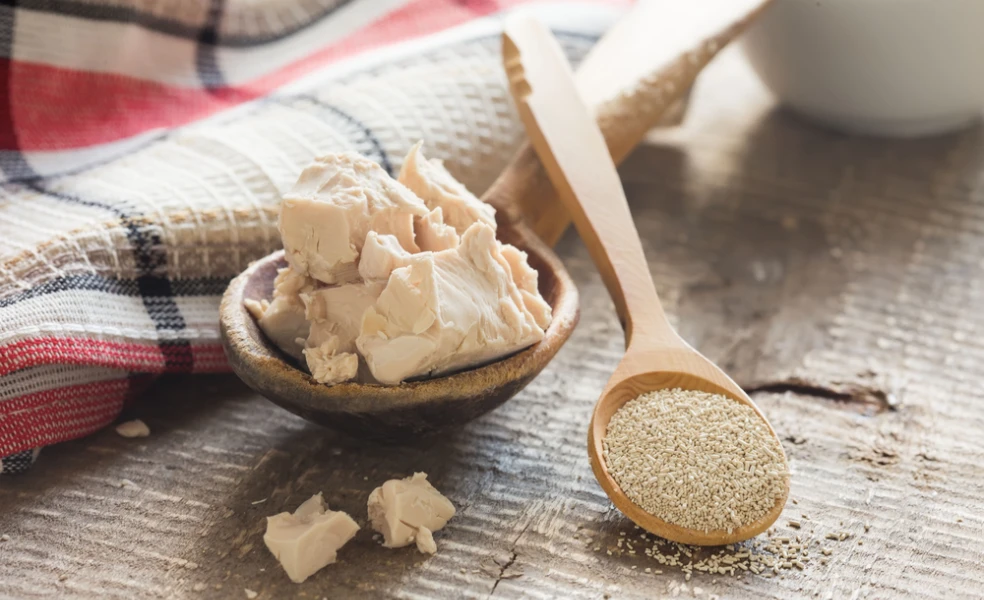 Čerstvé vs sušené droždie