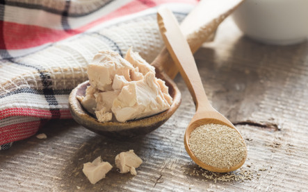 Čerstvé vs sušené droždie